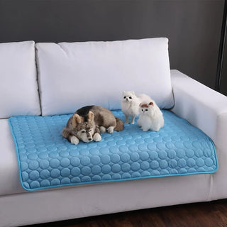 Chill Paws Cooling Mat - Keep Your Pets Cool and Comfortable