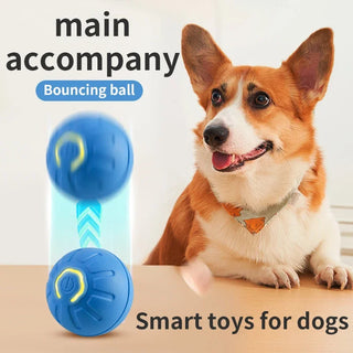 Bounce Buddy - Smart & Energetic Dog Ball - Glow in the Dark