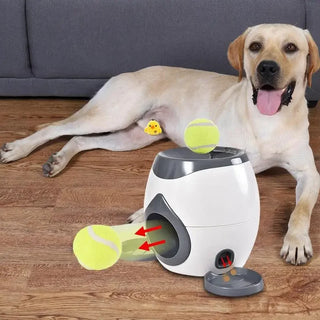 Play N Feed - Automatic Dog Feeder and Fetch Toy
