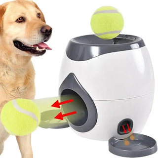 Play N Feed - Automatic Dog Feeder and Fetch Toy