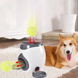 Play N Feed - Automatic Dog Feeder and Fetch Toy