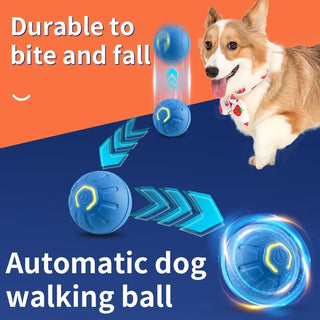 Bounce Buddy - Smart & Energetic Dog Ball - Glow in the Dark