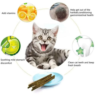 Premium Cat Mint Stick for Healthy Play and Dental Care